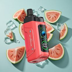 スイカアイス Razz Bar 45000回噴射 タイプC充電式 Japan vape wholesale