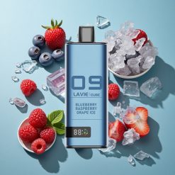 ブルーベリーレッドカラントグレープアイス Lavie Cube 20000回吸引 日本 vape wholesale