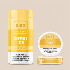 BSX プレミアム ニコチンポーチ 1PK