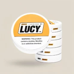 ルーシー Lucy Nicotine Pouches 5個パック